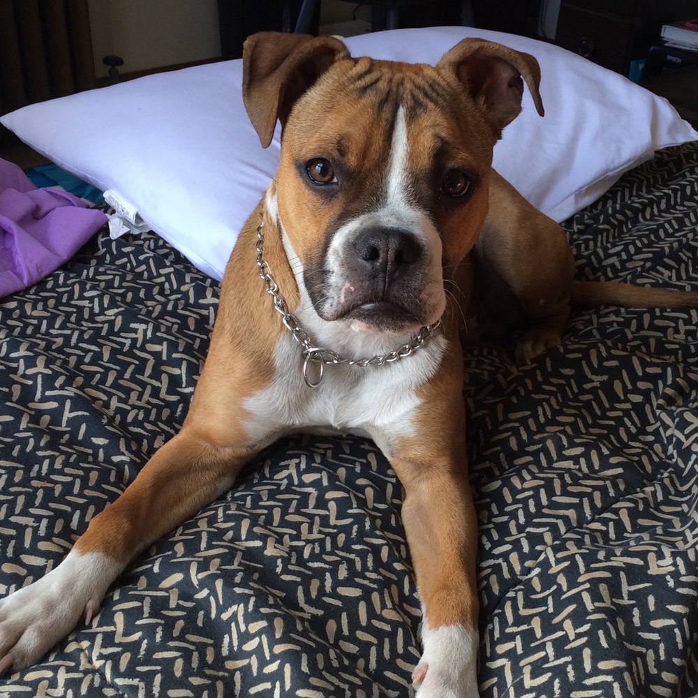 Meet your Posher, Hilary